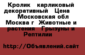 Кролик , карликовый-декоративный › Цена ­ 600 - Московская обл., Москва г. Животные и растения » Грызуны и Рептилии   